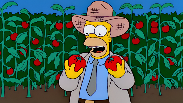 Cena do episódio “Homer: O Fazendeiro” de Os Simpsons